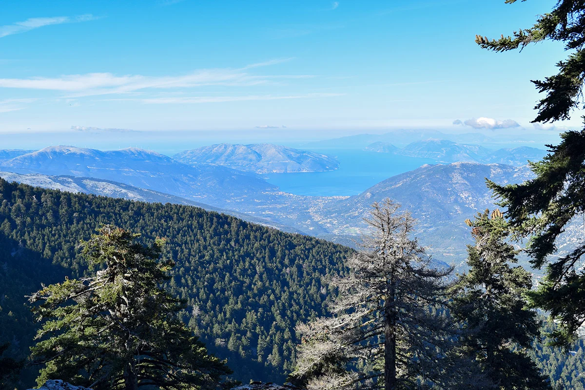 Kefalonia Apartments Argostoli - Kefalonia Studios Argostoli - Kefalonia Studios - Kefalonia Apartments - Accommodation Kefalonia - Apartments Kefalonia Airport - Studios Kefalonia Airport - Accommodation Argostoli Kefalonia